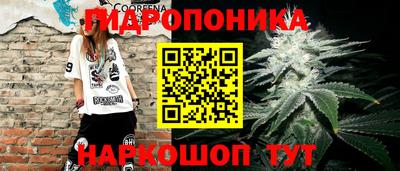 стафф Канаш