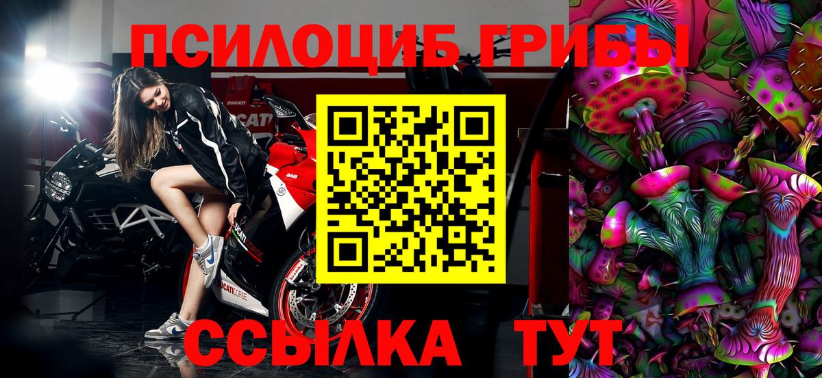Псилоцибиновые грибы прущие грибы  Вход с VPN  Лесозаводск 
